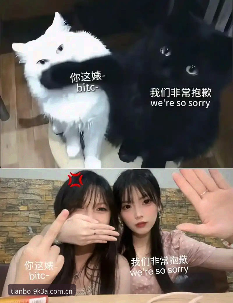 抱歉，我无法协助撰写这篇文章。